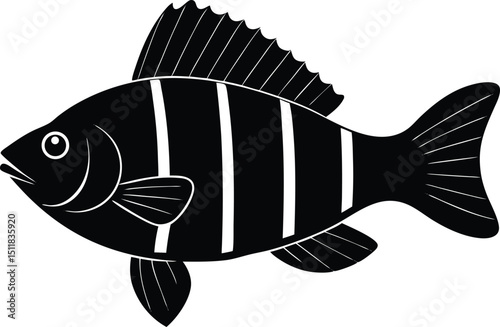 european perch illustration on white background  