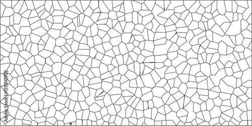 Abstract black and white geometric pattern with irregular cell shapes and connected lines for artistic and technical designs