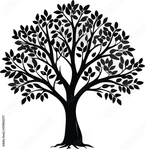 Eucalyptus trees icon set on white background. Stylized olive tree with lush green leaves. Decorative Stylized Tree Vector Set – Colorful Seasonal Trees with Leaves and Fruit for Nature vector design.