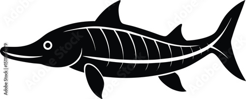 sturgeon illustration on white background  armored.eps