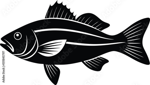 white bass illustration on white background  deep .eps