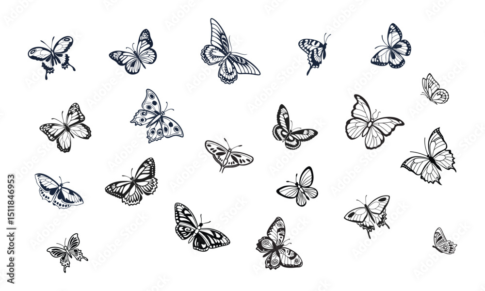 Fototapeta premium Butterfly vector silhouette design, white background