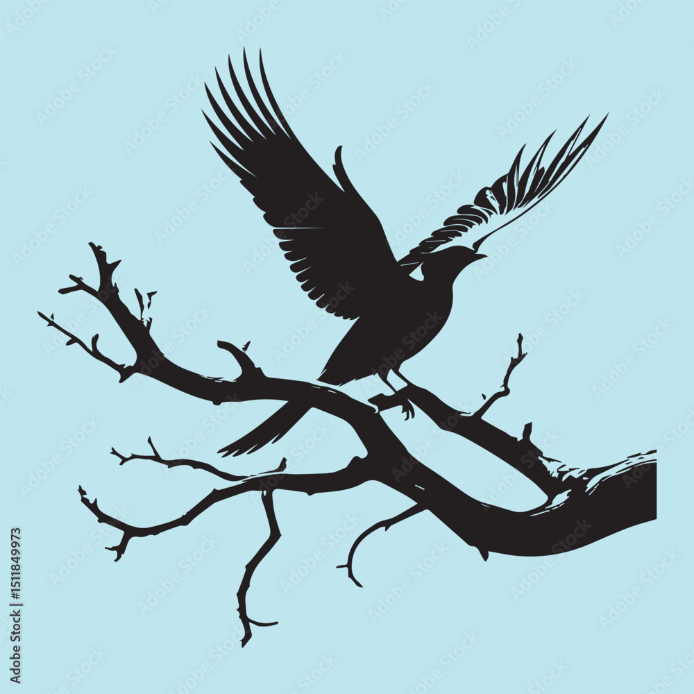 Fototapeta premium black silhouette of a bird side view isolated