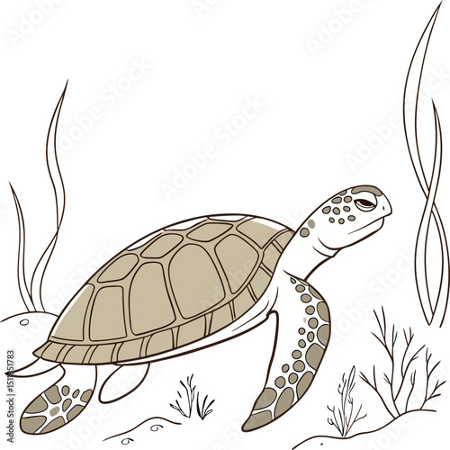 turtle