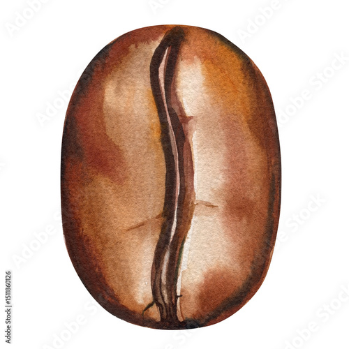 Coffee bean isolated, hand painted arabica seed, single brown espresso grain, cafe drink clipart for menu design Watercolor art