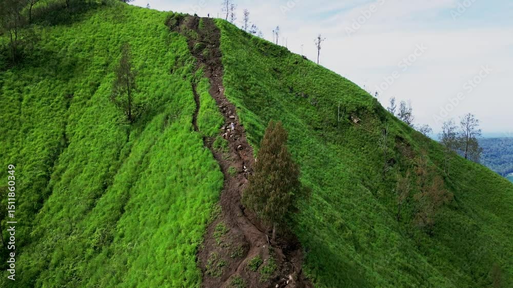 In the golden light of early morning, hikers descend Trunyan Hill’s vibrant green landscape, filmed from above by drone, revealing a serene and untouched tropical countryside in Bali.Mountain