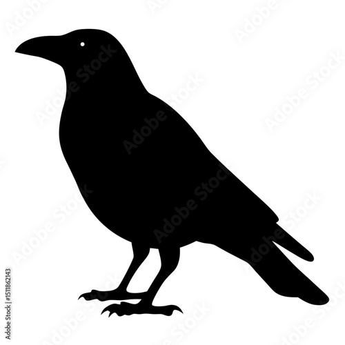 Elegant silhouette of a crow standing calmly against a plain white background