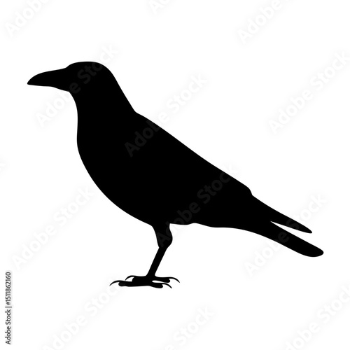 Silhouette of a standing crow with a strong beak and sharp claws
