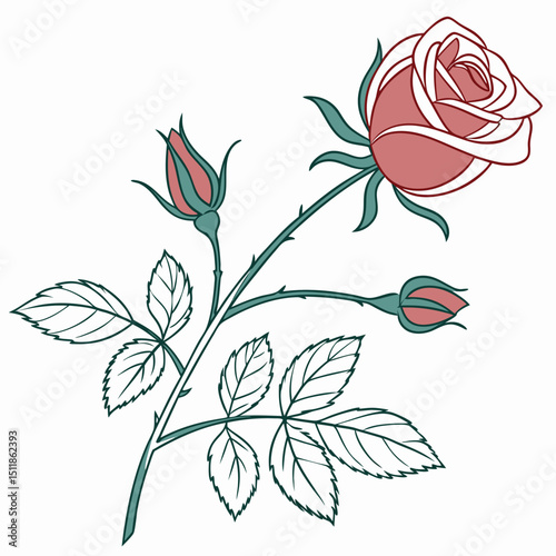 bouquet of roses