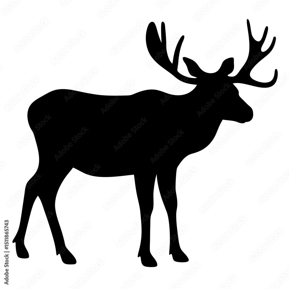 Fototapeta premium silhouette of a deer