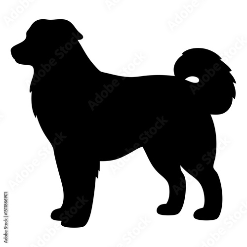 Silhouette of a Finnish Lapphund dog breed standing calmly looking forward