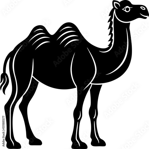 camel isolated on white background