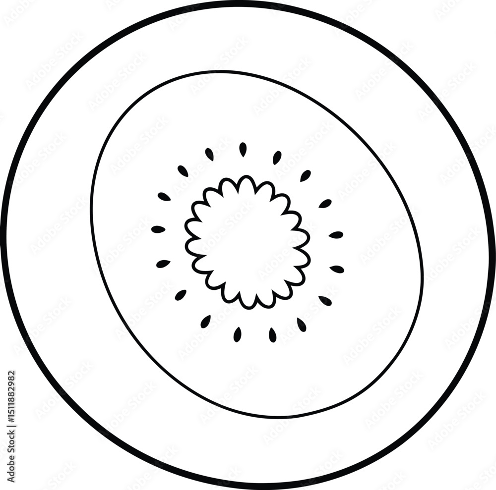 Kiwi Fruit Slice Line Art Vector. Kiwi Fruit Slice Line Art Vector.