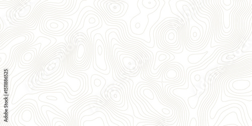 Topographic map lines, contour background, Vector contour topographic map background.