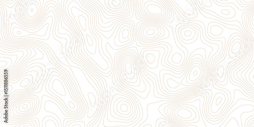 Topographic map lines, contour background, Vector contour topographic map background.