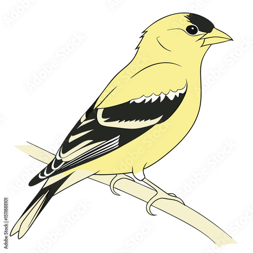 American Goldfinch Small, bright yellow bird state bird of New Jersey, Iowa, and Washington