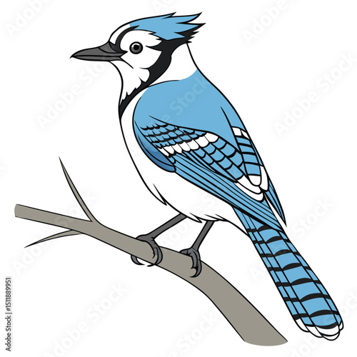 Blue Jay Known for its bright blue feathers and intelligent, vocal behavior