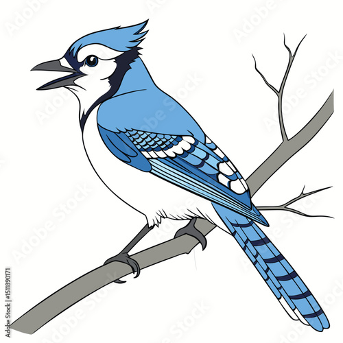 Blue Jay Known for its bright blue feathers and intelligent, vocal behavior