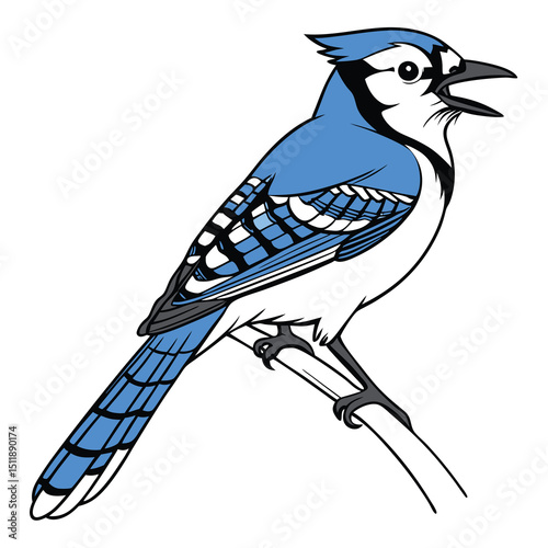 Blue Jay Known for its bright blue feathers and intelligent, vocal behavior