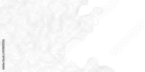 Seamless pattern with lines White wave paper curved reliefs abstract background, Abstract topographic contours map background. Abstract black and white topographic contours line.	
