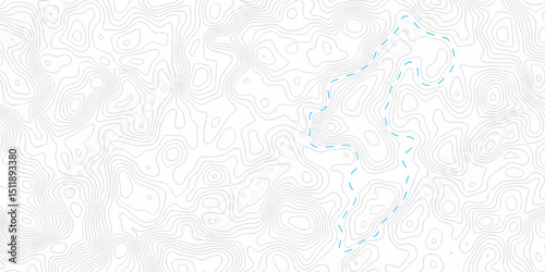 Seamless pattern with lines White wave paper curved reliefs abstract background, Abstract topographic contours map background. Abstract black and white topographic contours line.	
