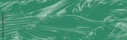 Fotografie Close-up of layered lace and ruffled fabric details, emphasizing the texture and artistic embroidery in a monochromatic green color palette