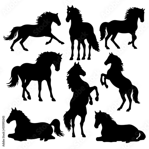horse silhouettes vector