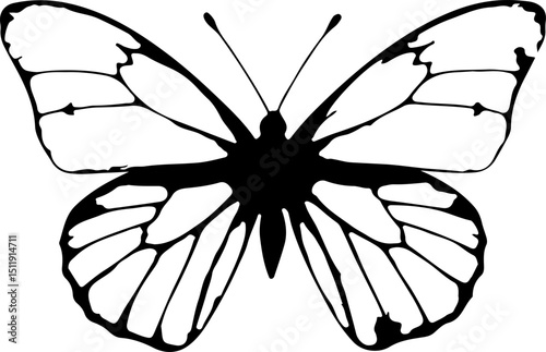 Crisp black and white line art of a butterfly with intricate wing patterns and a bold body, perfect for elegant graphic designs, educational materials, or nature-inspired artwork.