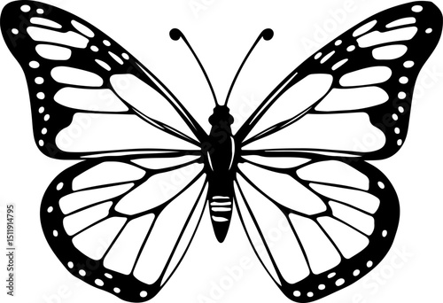 Intricate black and white line art of a Monarch butterfly with detailed wing patterns, perfect for educational materials, nature illustrations, or elegant graphic designs.