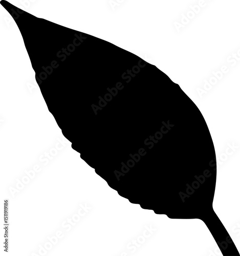 Simple black silhouette of an elongated leaf with a pointed tip, perfect for minimalist nature designs, botanical themes, or decorative accents.