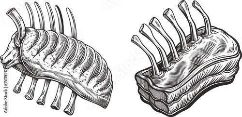 Rack of lamb cuts delicious meat food ink sketch black and white engraving monochrome vector illustration