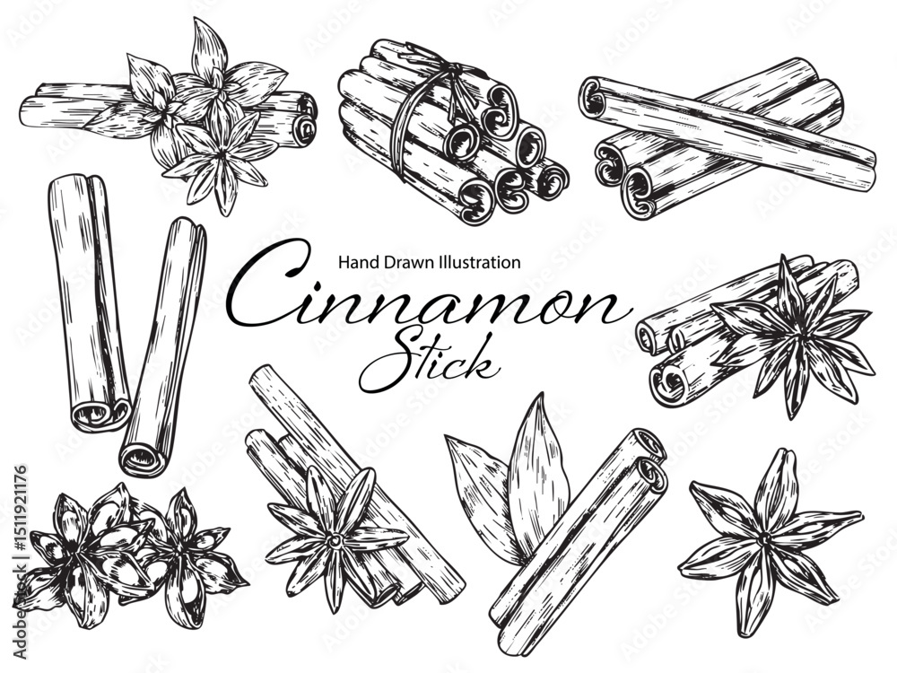 Ταπετσαρία Collection of hand drawn rolled cinnamon stick and anise outline drawing illustr