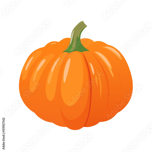 Vector illustration of a plump and ripe pumpkin with rich orange color on white background