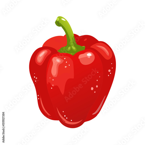 Vector illustration of a shiny and deep red bell pepper with a crunchy texture on white background