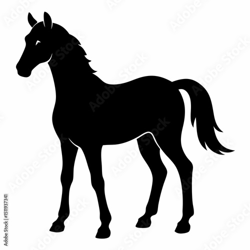 Minimalist Black Horse Vector