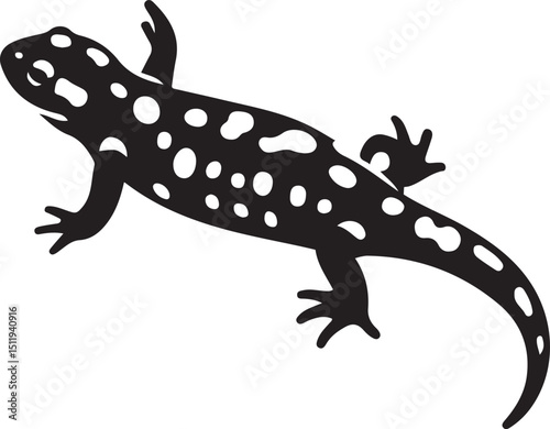 A black and white illustration of a salamander, showcasing its unique spotted pattern and sleek body