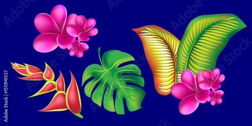 jungle flower,leaves  tropic set. isolated elements. Palm leaf, monstera, pink plumeria flower,hibiscus blossom, exotic tropical summer flowers and leaves.