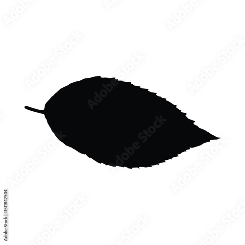 Single leaf silhouette botanical illustration