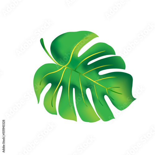 jungle flower,leaves  tropic set. isolated elements. Palm leaf, monstera, pink plumeria flower,hibiscus blossom, exotic tropical summer flowers and leaves.