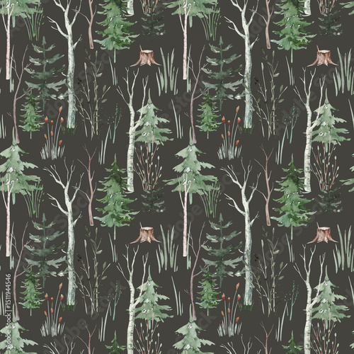 Seamless pattern with watercolor pine trees and spruces, hand drawn on white background