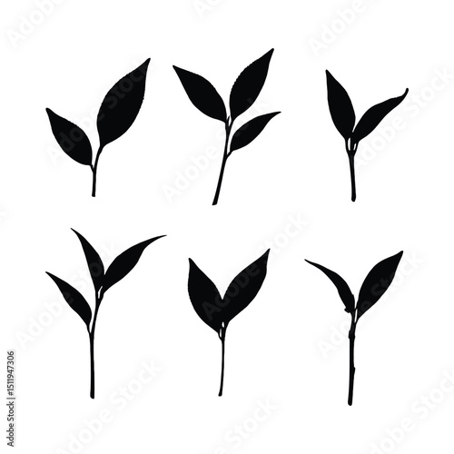 Six tea leaf sprout silhouettes