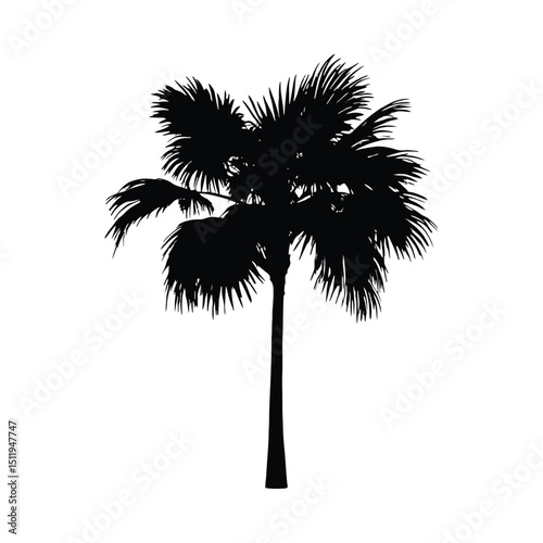 Single palm tree silhouette graphic