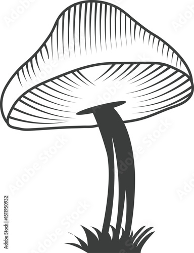 A single mushroom, Black and white color vector illustration