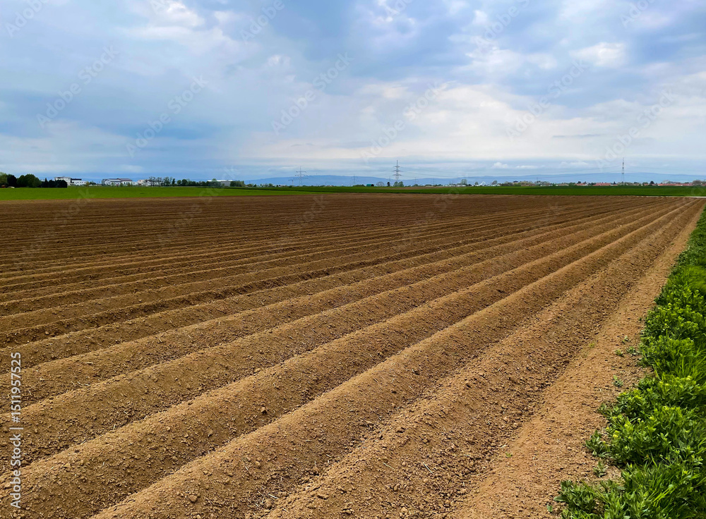 image of field in spring, agricultural work sowing, farm field, growing crops and preparing soil in spring image of field in spring, agricultural work sowing, farm field, growing crops and preparing soil in spring