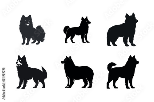 Six black silhouettes of spitz dogs in different poses