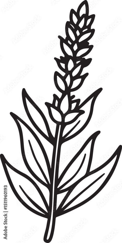 Naklejka premium heather flower line art, black outline, vector and illustration, coloring book page line art drawing