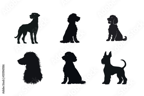 Six dog breed silhouettes collection