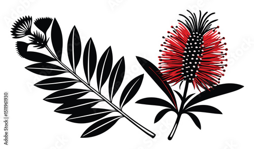 Red callistemon flower and black silhouette leaves
