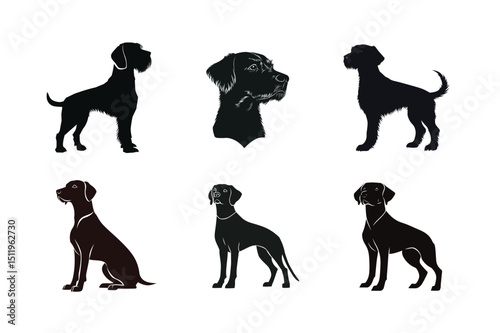 Six dog silhouettes different breeds and poses