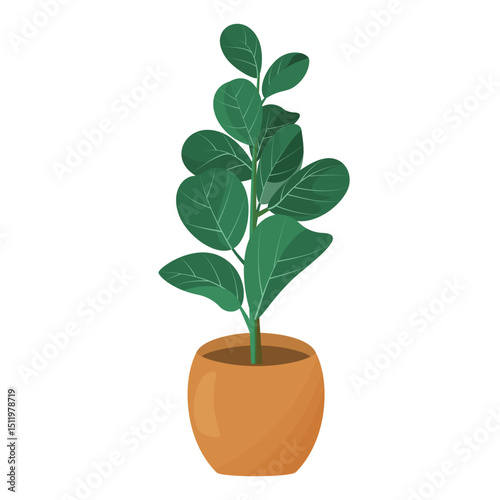 home flower in pot